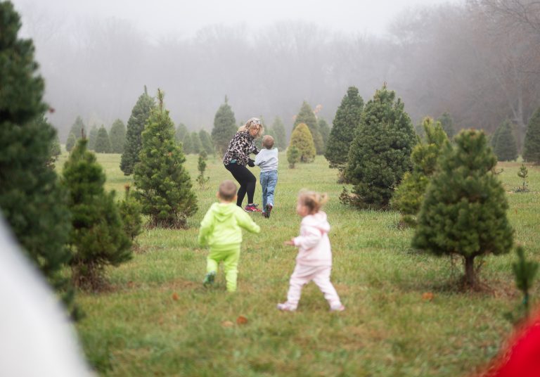 Mandy running through a foggy Christmas tree farm with three young children, all laughing and playing while trying to take holiday photos.